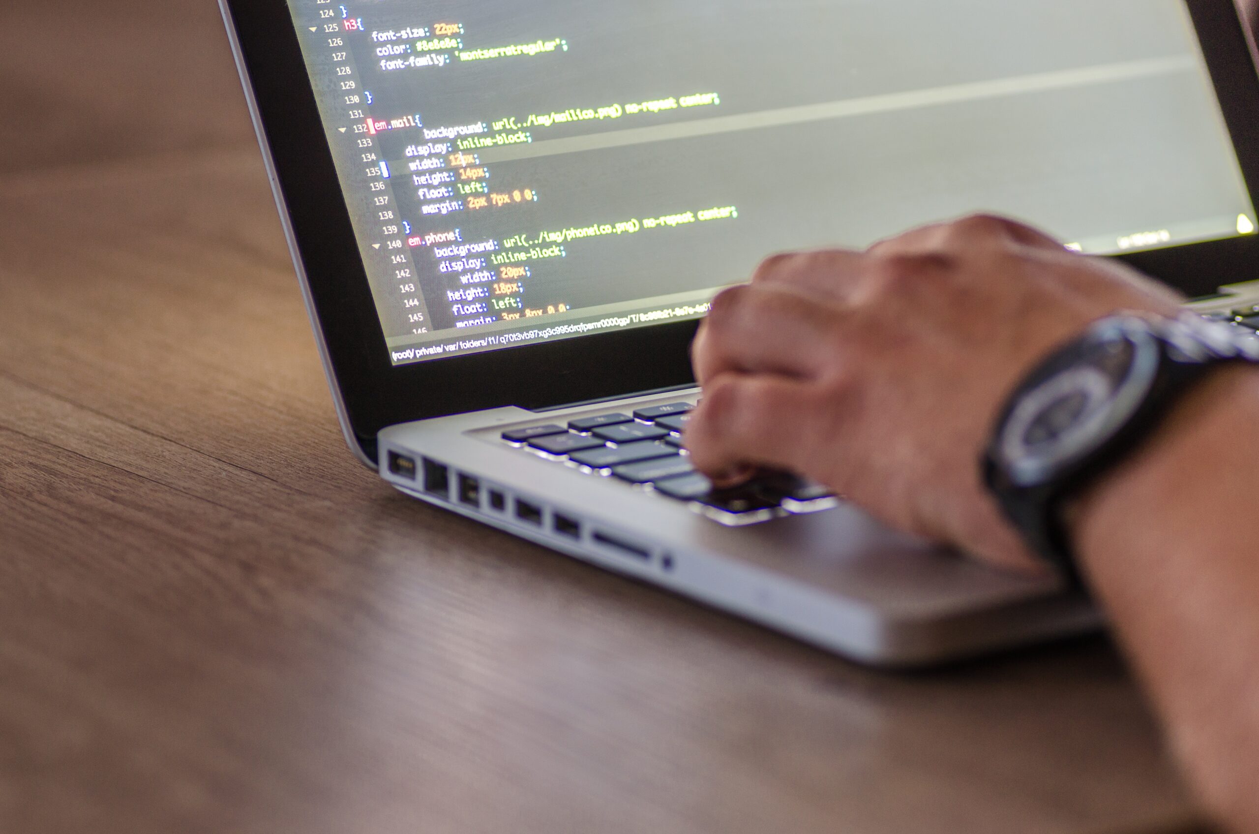 WordPress Developer Working